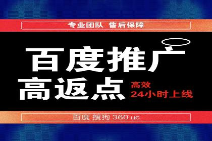 搜索引擎推广的佼佼者——百度搜索推广案例